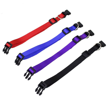 Nylon Webbing Dog Collar Heavy Duty Clip Buckle Pet Collar for Small Medium Dogs Chihuahua Dog Red Black Blue Purple 20