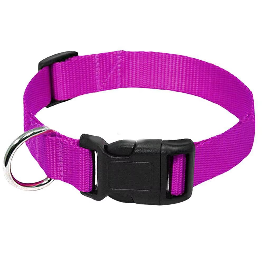 Nylon Webbing Dog Collar Heavy Duty Clip Buckle Pet Collar for Small Medium Dogs Chihuahua Dog Red Black Blue Purple 20